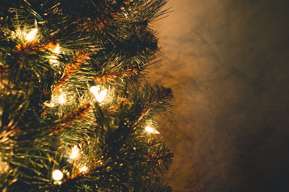 Come mettere le luci sull'albero di Natale - Holyart