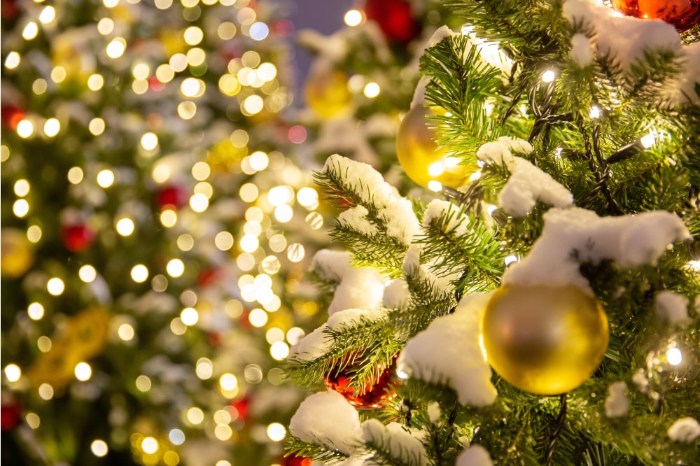 Quanto consumano le luci di Natale: la nostra guida - Holyblog